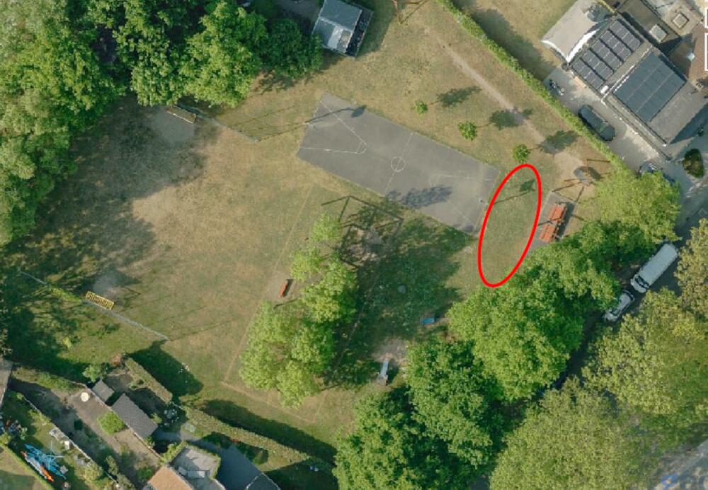 survey image