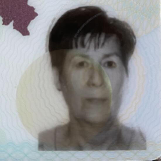 registerd user picture 2