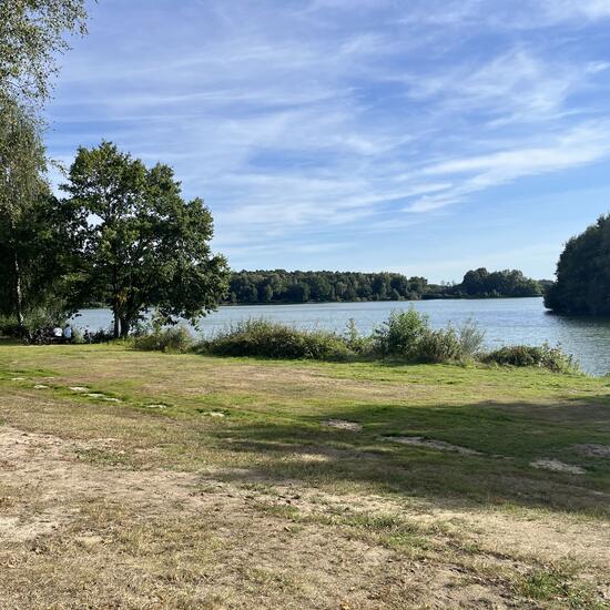 registerd user picture 2