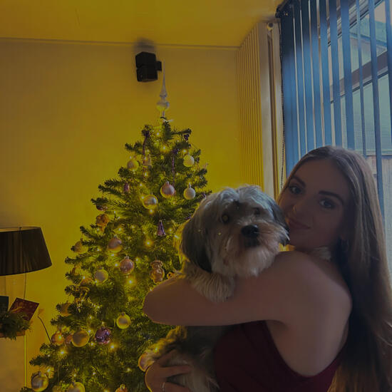 registerd user picture 1