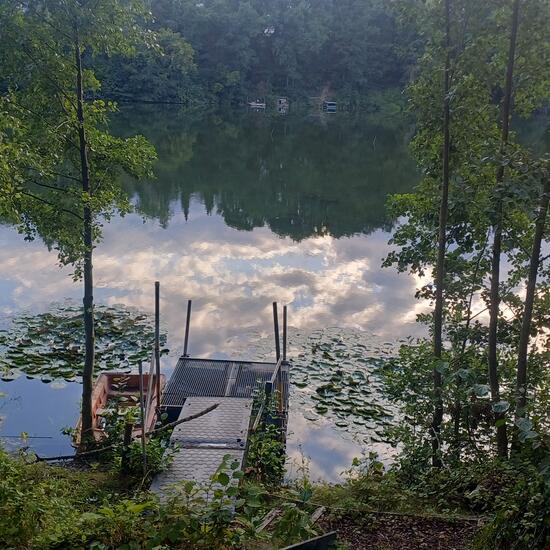 registerd user picture 2