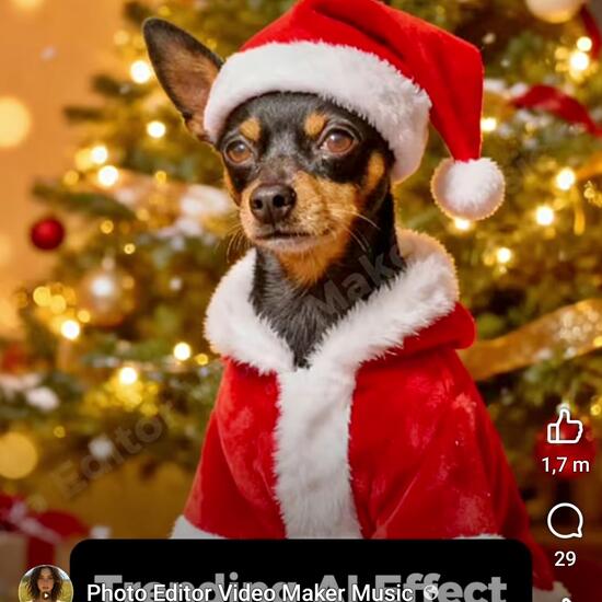 registerd user picture 1