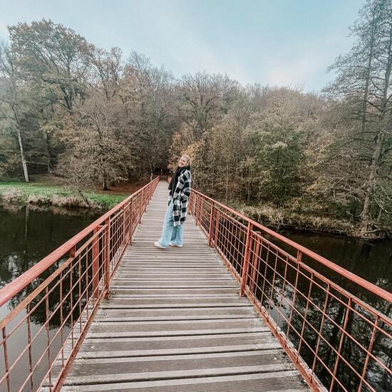 registerd user picture 1