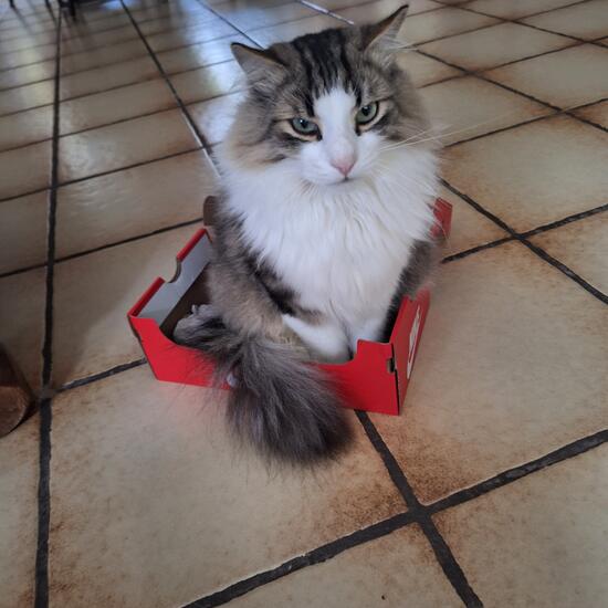 registerd user picture 1