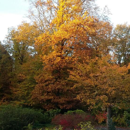 registerd user picture 1