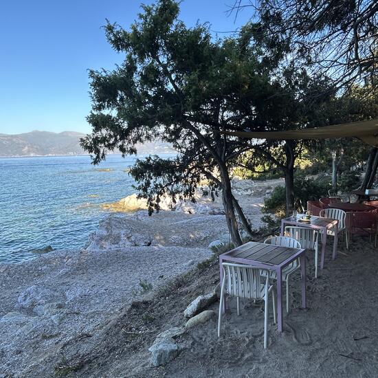 registerd user picture 3